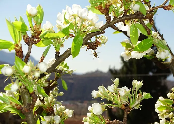 Bella Appartamento *